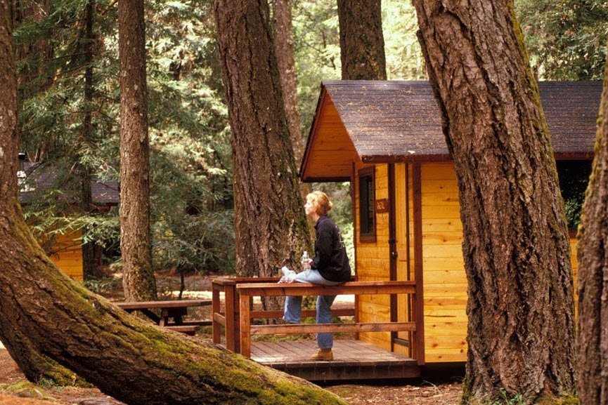 Hendy Woods State Park, California, USA